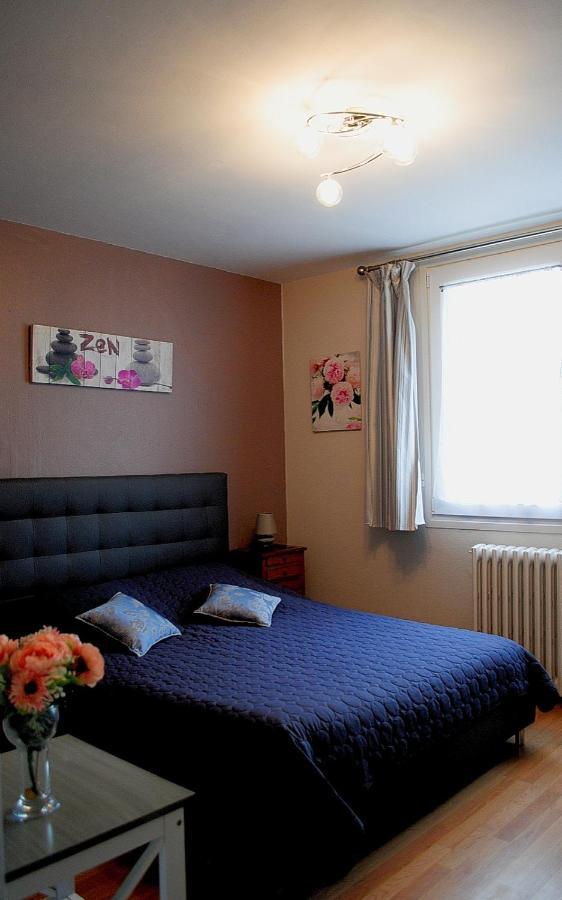 Le Moulin Garnier Bed & Breakfast Vernou-sur-Brenne Exterior photo